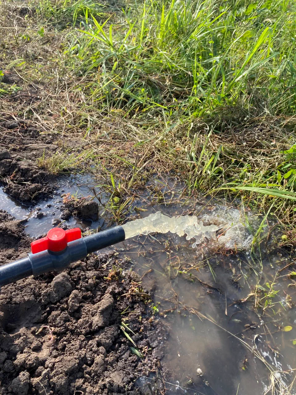 Système de pompage solaire pour irrigation agricole